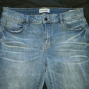 Studio Blue Skinny Jeans